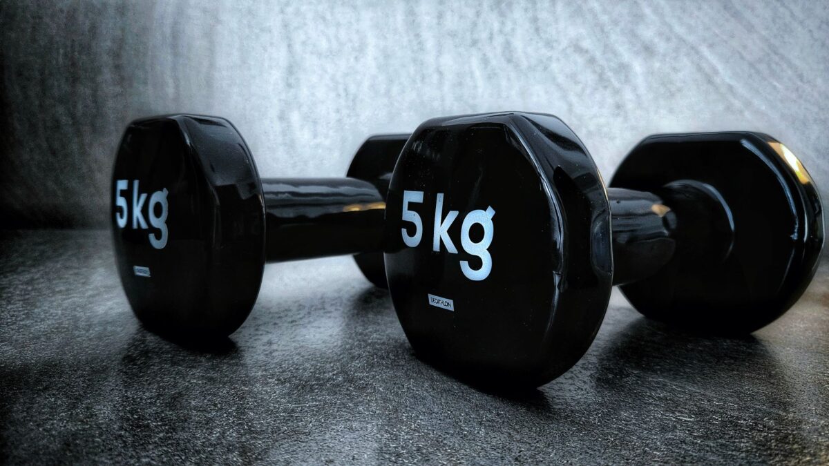 exercices musculation adducteurs cas usage profil